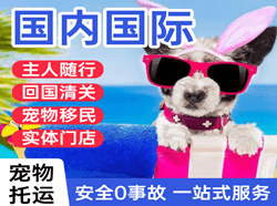 韶关丹霞机场货运国际宠物托运 【国